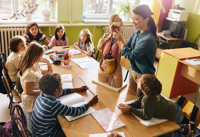 Teacher teaching health or anatomy lesson to class