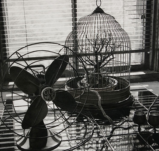 Still life of bonsai tree in bird cage, table fan and venetian blinds