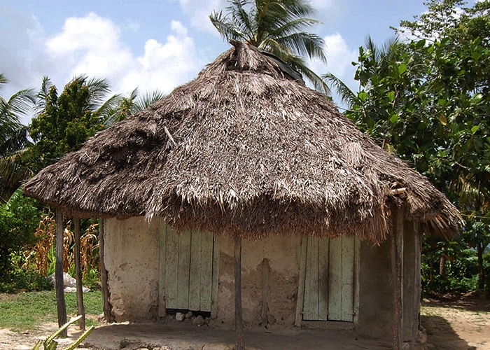 A hut with grass roof in Haiti