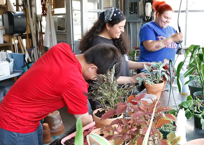 Students potting and watering plants in RIC greenhouse