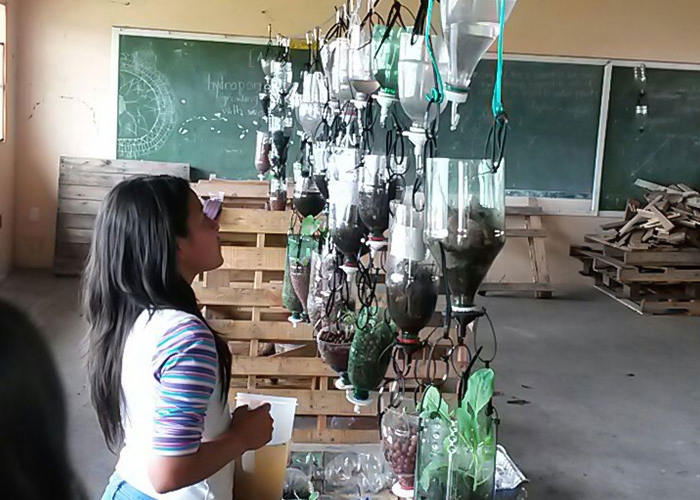 Student looks up at hanging hydroponic bottles in classroom