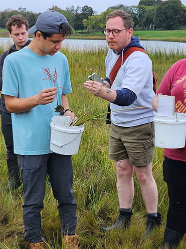 Students inventory plants and animals in the salt marsh