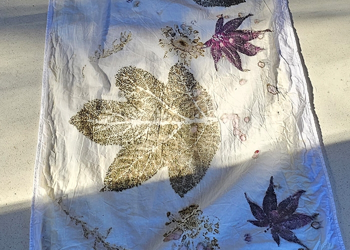 Images of leaves dyed on cloth