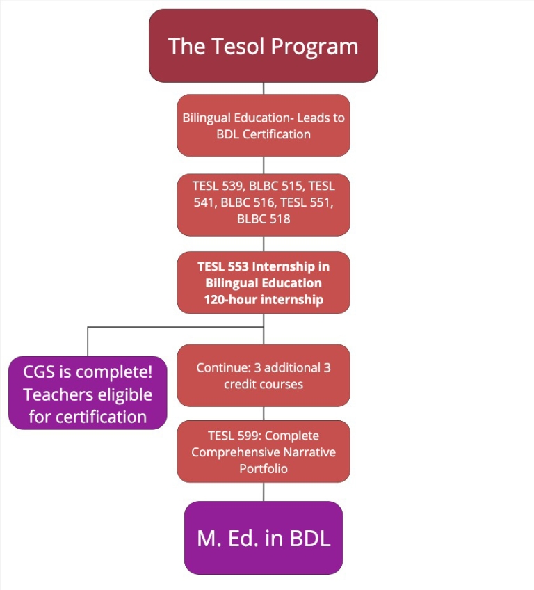 Diagram of Bilingual/Dual Language Certification Pathway