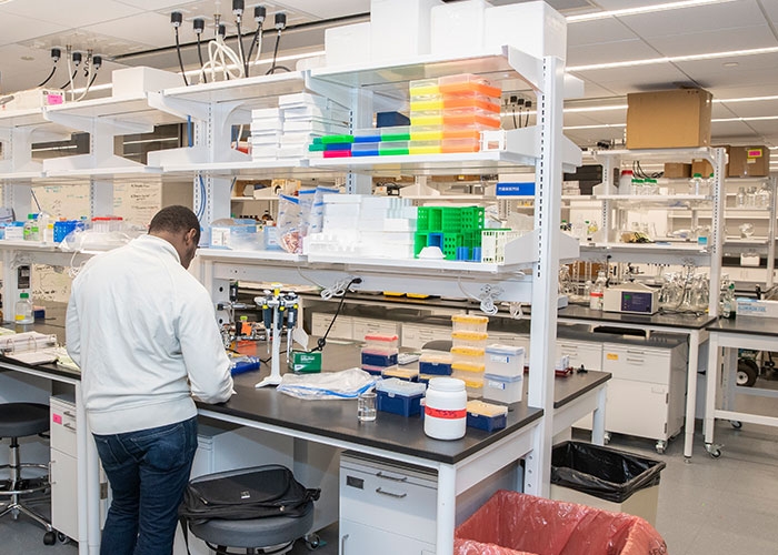 A person in the biochemistry and physics research lab
