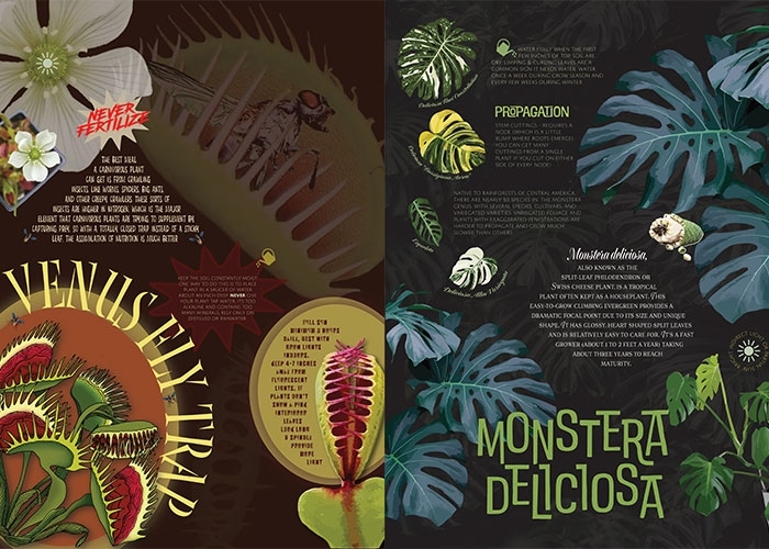 Two-page spread of Diane Oliver’s most recent design project – a book she’s writing titled “The Beauty of Botany.” 