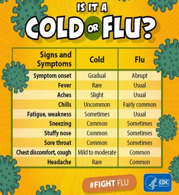 Cold or Flu 