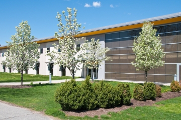 Alger Hall exterior in the spring