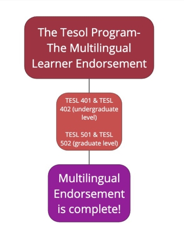 Diagram of the TESOL Pathway to MLL Endorsement