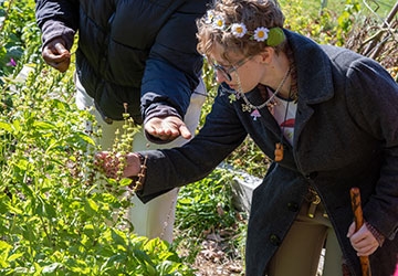 Students exploring the RIC garden