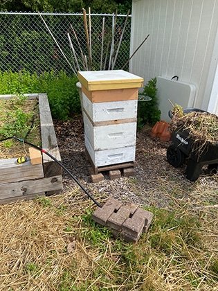 One of the four RIC beehives