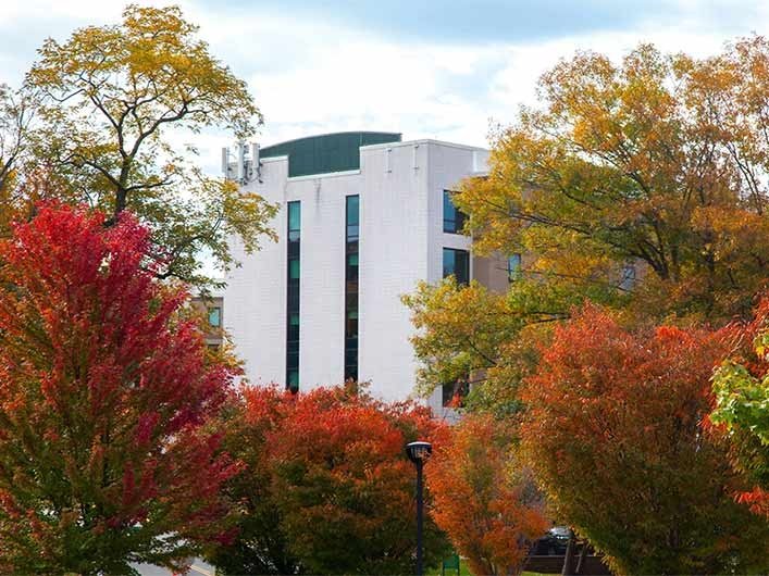 trees near residence hall