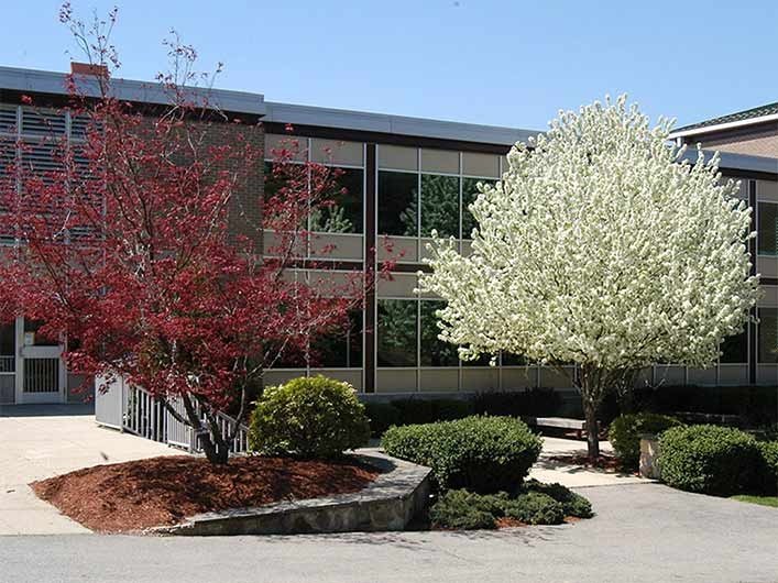 tress in the spring near Donovan Dining Center