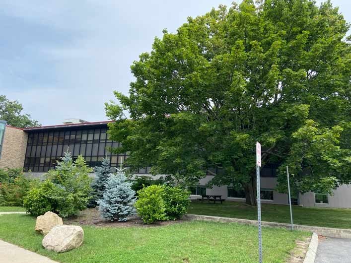 trees in front of Alex and Ani Hall