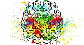 Human brain Image from Pixabay