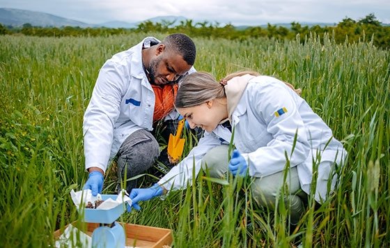 Biologists working in field, gathering samples