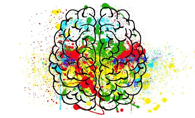 Human Brain image from Pixabay