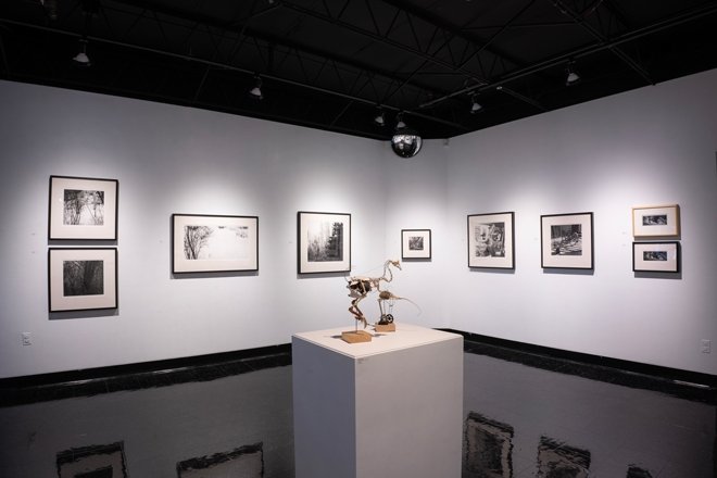 Stephen Fisher’s installation at Bannister Gallery